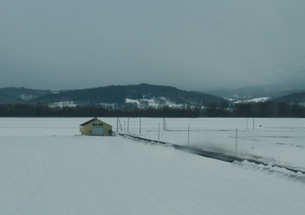 b0038366_13294340.jpg