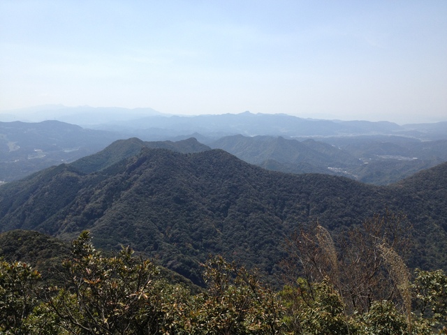 b0046478_073876.jpg