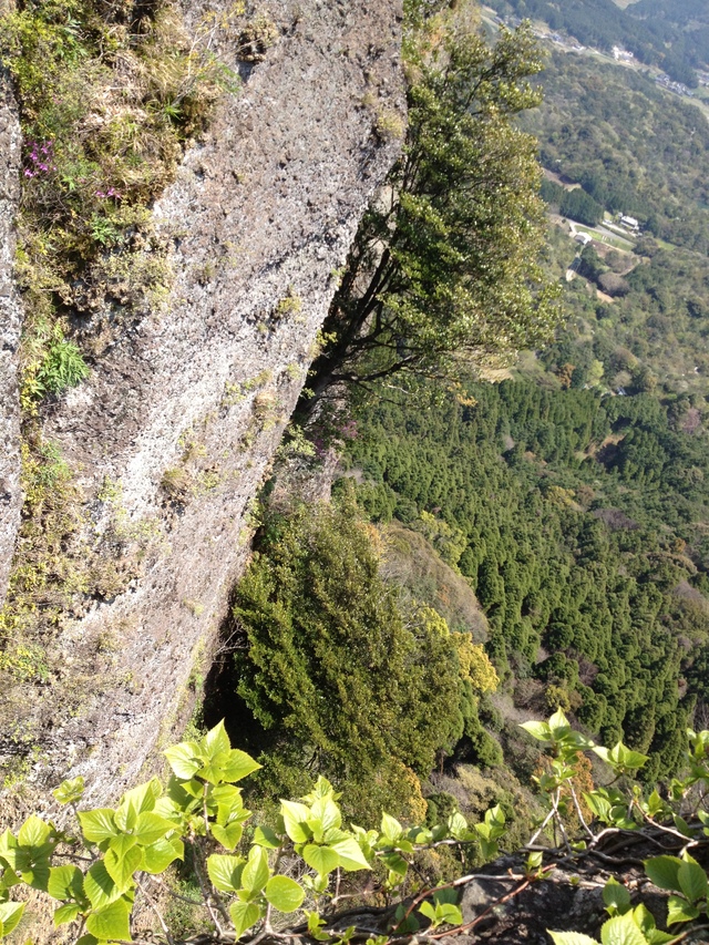 b0046478_23521721.jpg