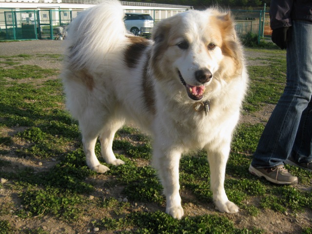 f0230380_005465.jpg