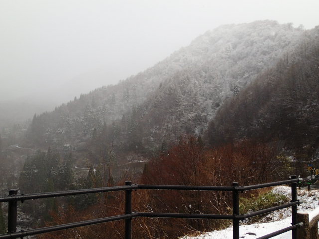 a0036693_2028456.jpg