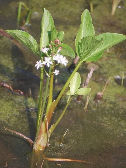 e0025300_1257100.jpg