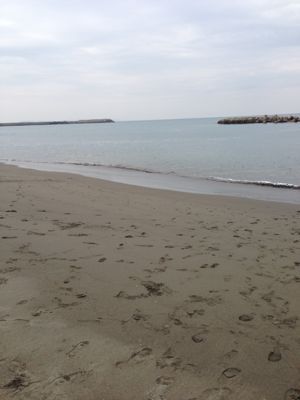f0248903_2325434.jpg