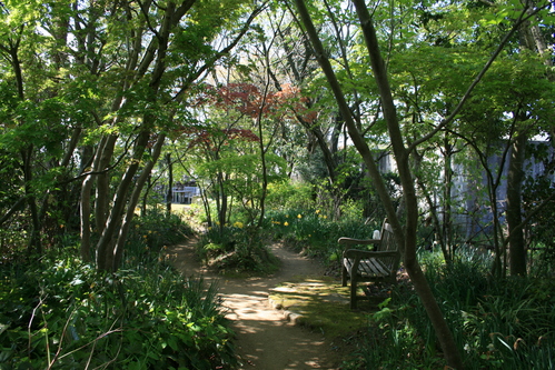 a0139007_1423527.jpg