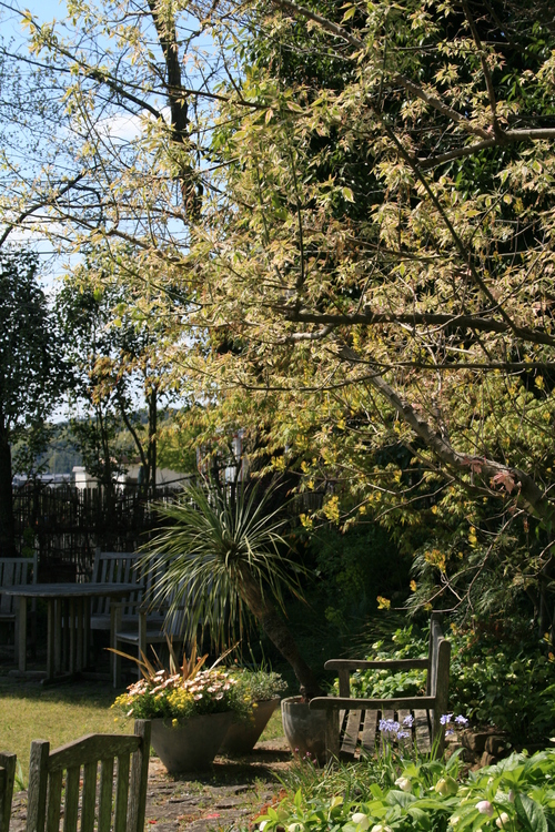 a0139007_1424960.jpg