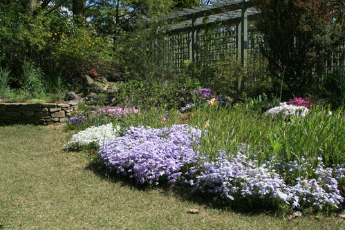 a0139007_14254944.jpg
