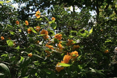 a0139007_1427472.jpg