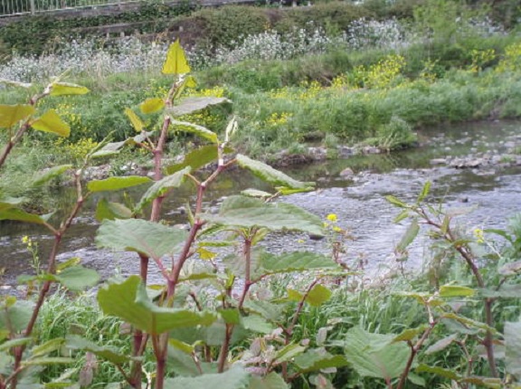 e0258208_6412056.jpg