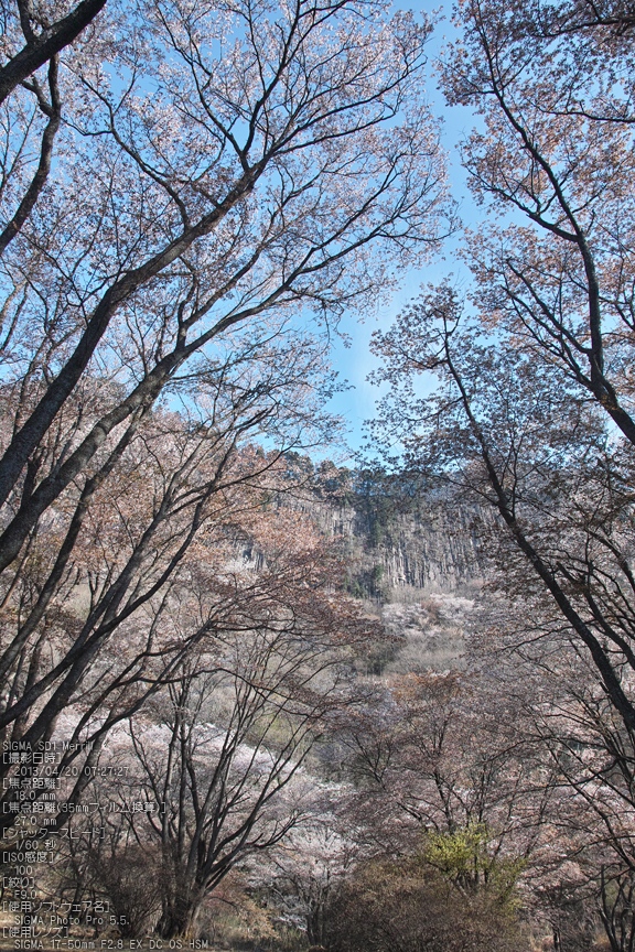 f0221510_23365767.jpg