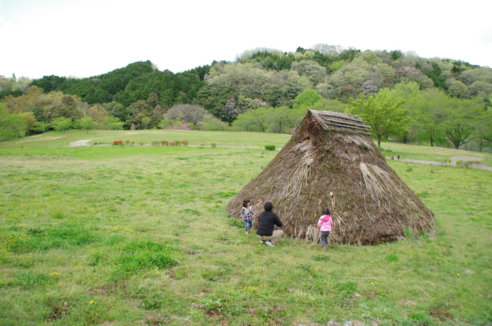 f0195813_2241077.jpg