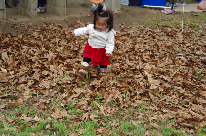 f0195813_2244510.jpg