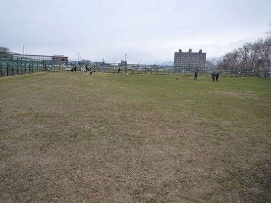 a0109914_133314.jpg