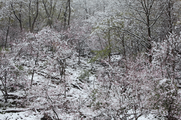 e0242721_827179.jpg