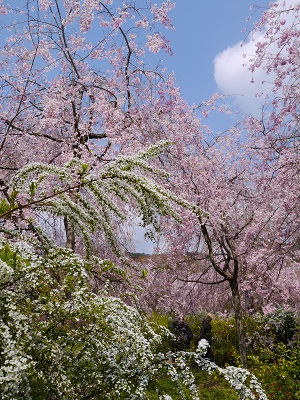 c0235725_23281726.jpg