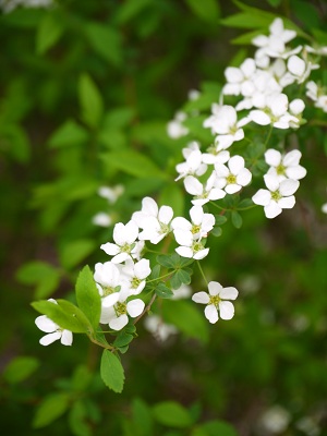 c0235725_23355096.jpg