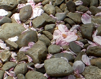 b0252727_8152553.jpg