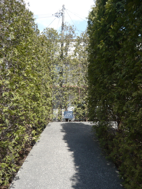 d0217833_16203721.jpg