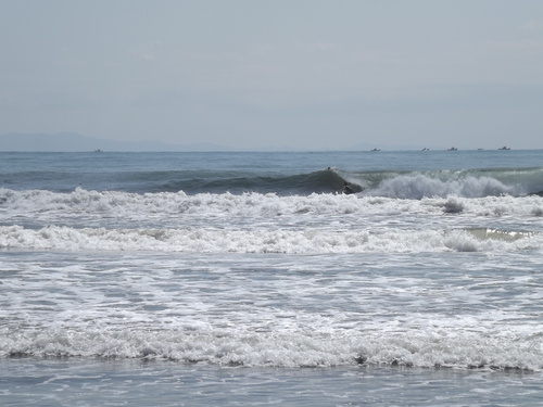 f0248337_10131852.jpg