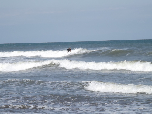 f0248337_16225231.jpg