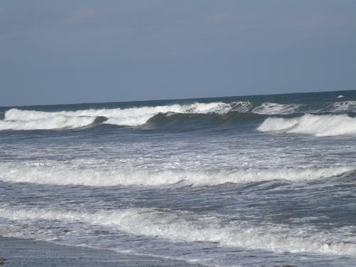 f0248337_16343066.jpg