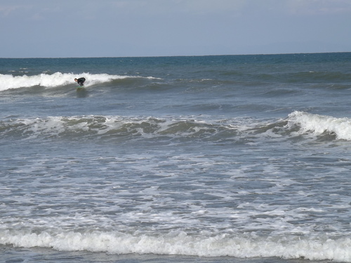 f0248337_1674193.jpg