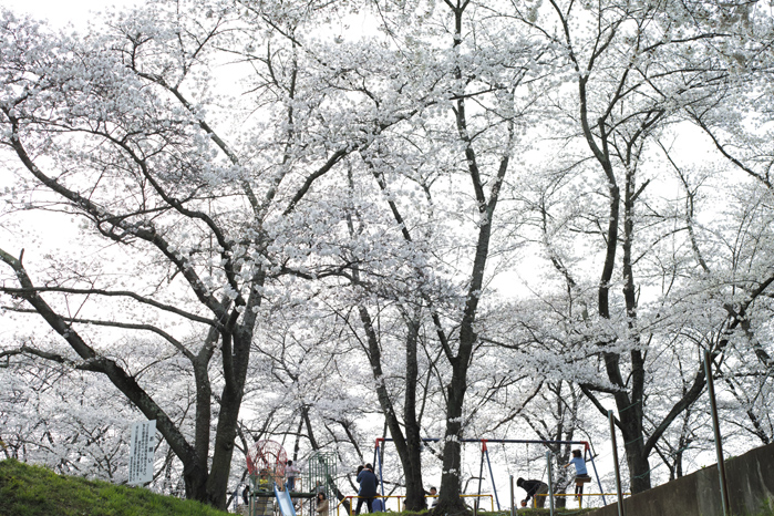 a0049639_20471148.jpg