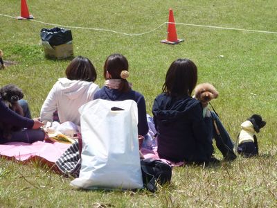 c0211540_083710.jpg