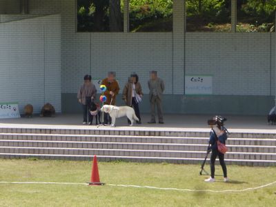 c0211540_091887.jpg