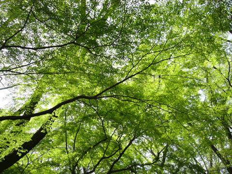 c0225153_2347643.gif