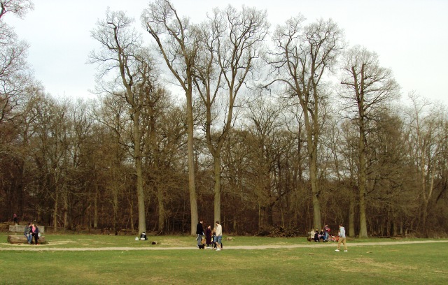 e0010856_4351726.jpg
