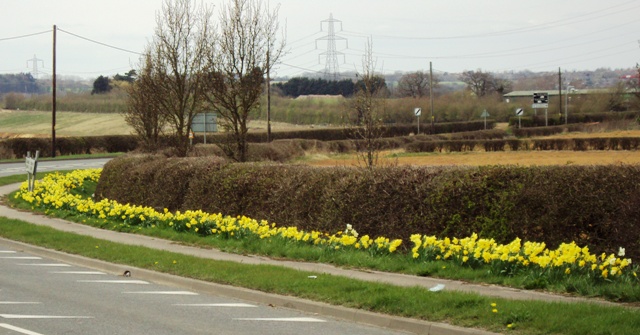 e0010856_4482938.jpg