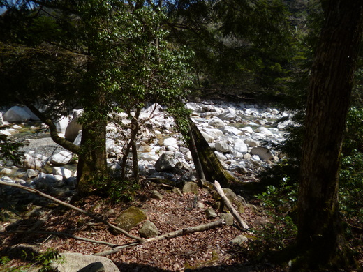 d0231858_20452459.jpg