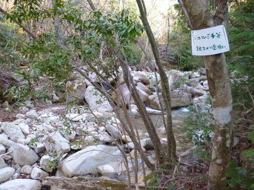 d0231858_20481371.jpg