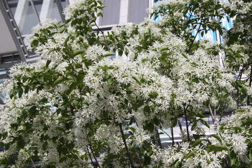f0207669_1610168.jpg