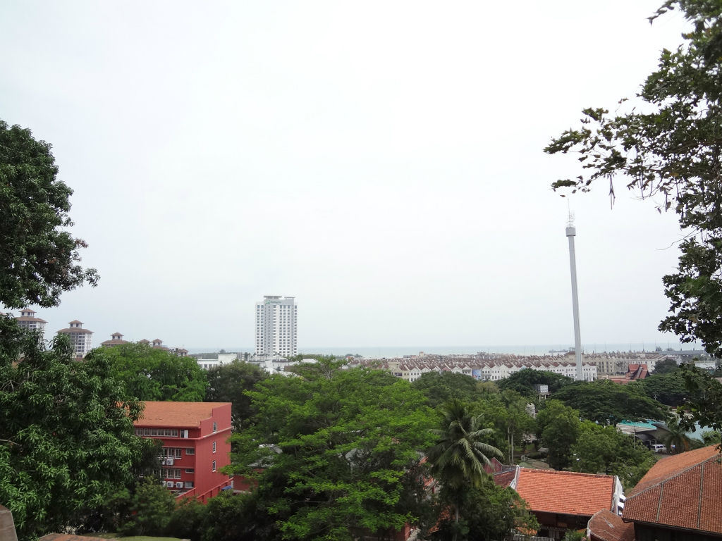d0082970_035364.jpg