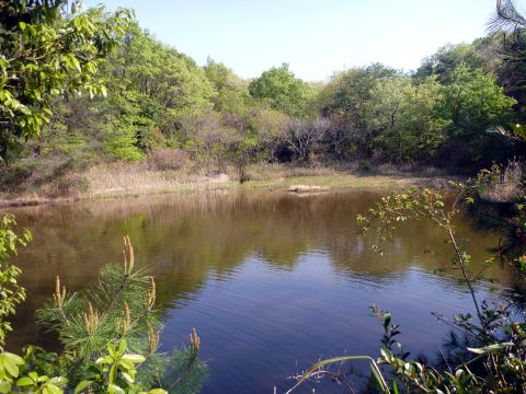 e0161972_1350437.jpg