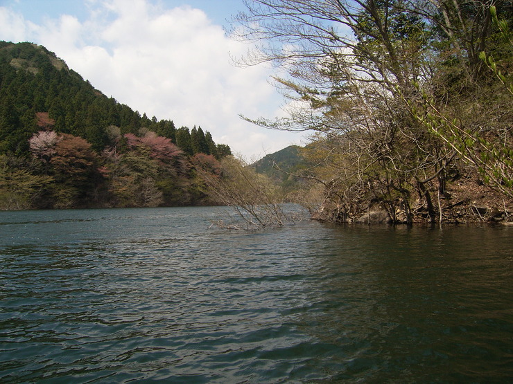 d0225575_2328080.jpg
