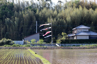 c0152779_14174967.jpg