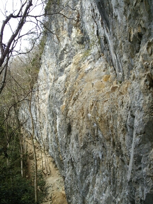f0223480_22584945.jpg