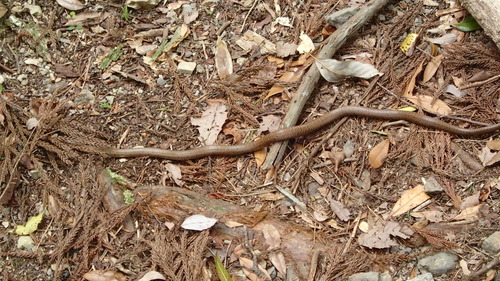 e0024081_202929.jpg