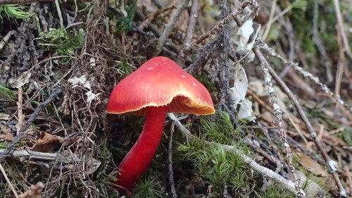 e0024081_21205511.jpg