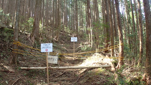 e0024081_212321.jpg