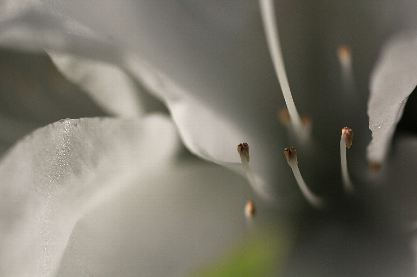 d0129886_1323238.jpg