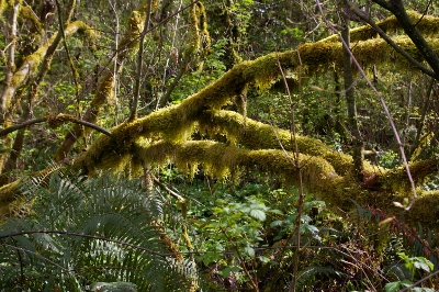 b0283192_1314279.jpg