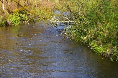 b0283192_135196.jpg