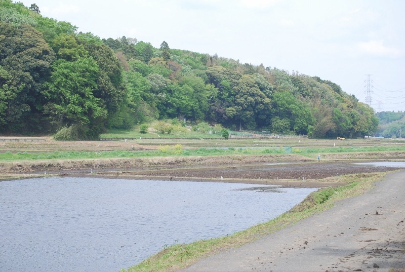 e0025300_17453815.jpg