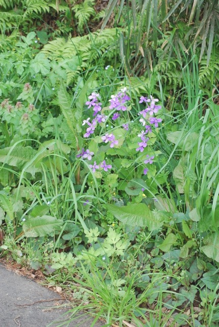 e0025300_17583187.jpg