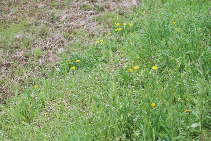 e0025300_1892692.jpg