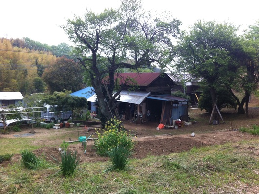 f0154002_015554.jpg