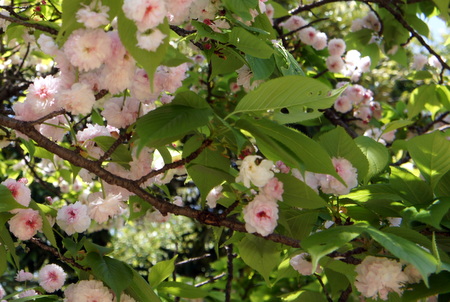 c0148705_17413091.jpg